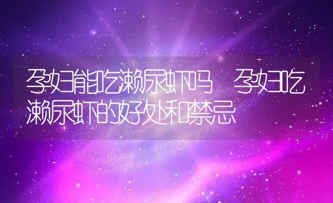 孕妇能吃濑尿虾吗 孕妇吃濑尿虾的好处和禁忌 | 养殖资料投稿