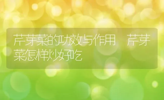 芹芽菜的功效与作用 芹芽菜怎样炒好吃 | 养殖资料投稿