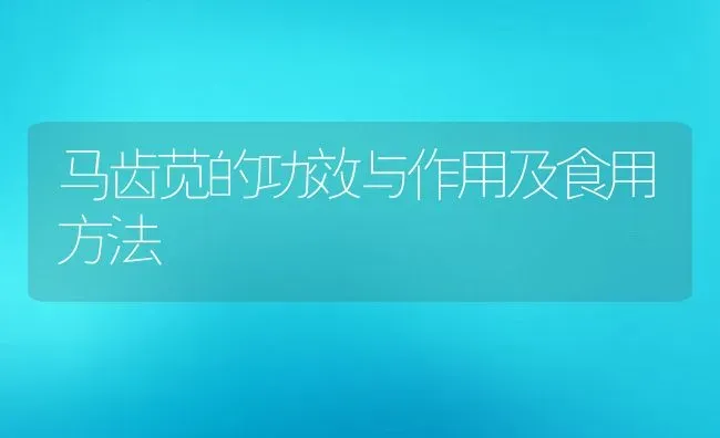 马齿苋的功效与作用及食用方法 | 养殖资料投稿