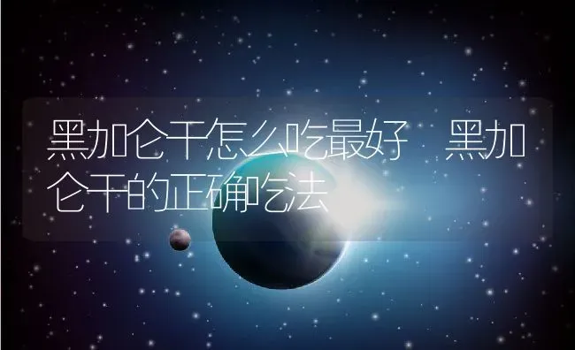 黑加仑干怎么吃最好 黑加仑干的正确吃法 | 养殖资料投稿