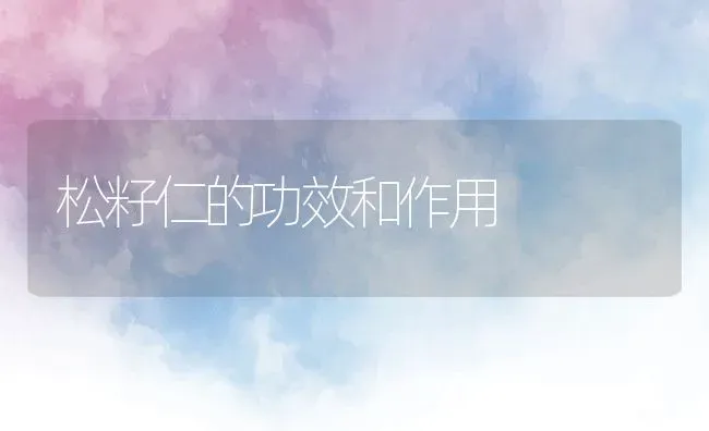 松籽仁的功效和作用 | 养殖资料投稿