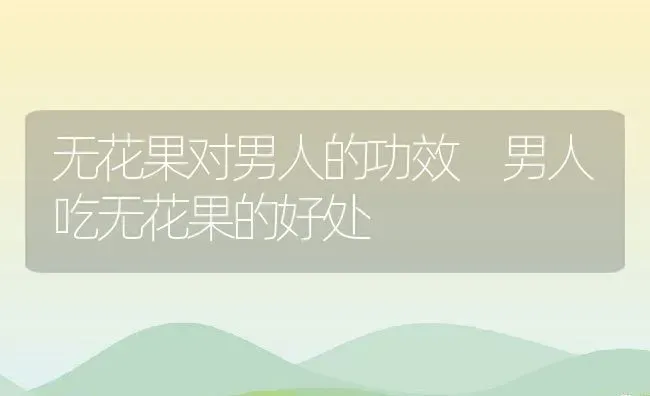 无花果对男人的功效 男人吃无花果的好处 | 养殖资料投稿