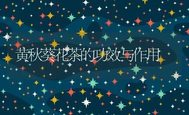 黄秋葵花茶的功效与作用 | 养殖资料投稿
