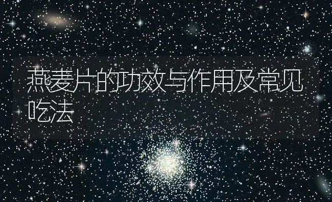 燕麦片的功效与作用及常见吃法 | 养殖资讯