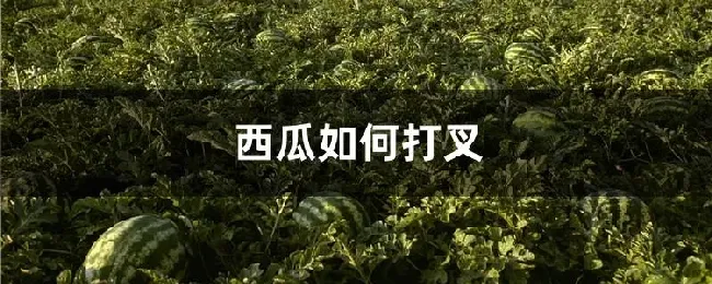 西瓜如何打叉