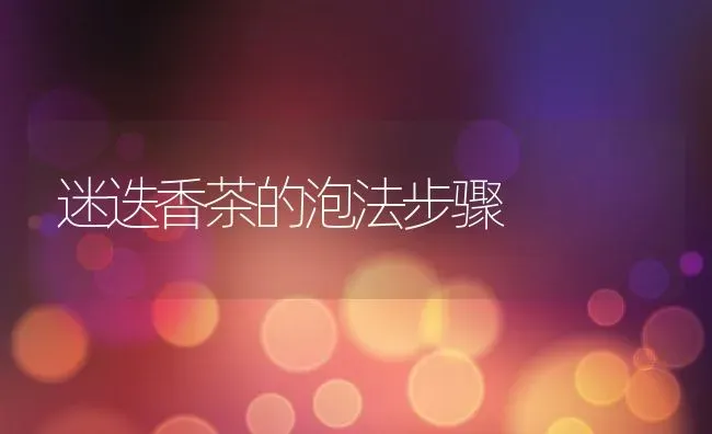 迷迭香茶的泡法步骤 | 养殖资料投稿