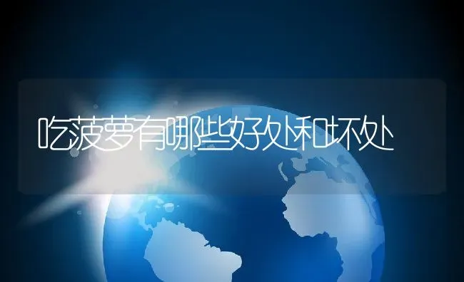 吃菠萝有哪些好处和坏处 | 养殖资料投稿