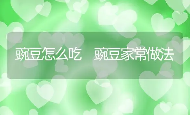 豌豆怎么吃 豌豆家常做法 | 养殖资料投稿