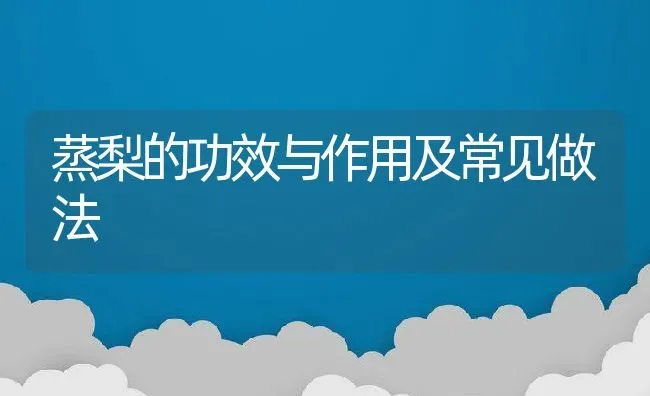 蒸梨的功效与作用及常见做法 | 养殖资料投稿