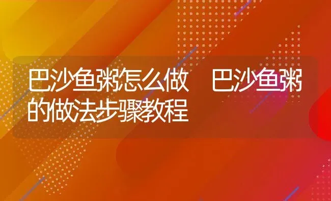 巴沙鱼粥怎么做 巴沙鱼粥的做法步骤教程 | 养殖资讯