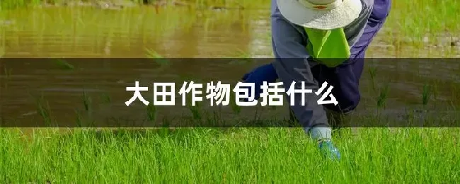 大田作物包括什么