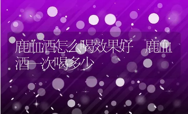 鹿血酒怎么喝效果好 鹿血酒一次喝多少 | 养殖资料投稿