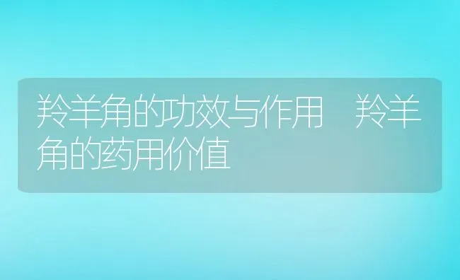 羚羊角的功效与作用 羚羊角的药用价值 | 养殖资料投稿