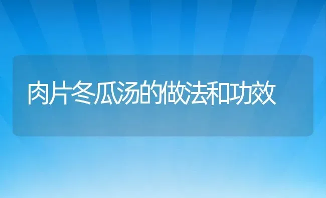 肉片冬瓜汤的做法和功效 | 养殖资料投稿