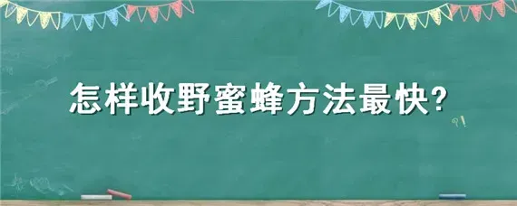 怎样收野蜜蜂方法最快