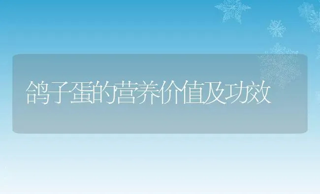 鸽子蛋的营养价值及功效 | 养殖资料投稿