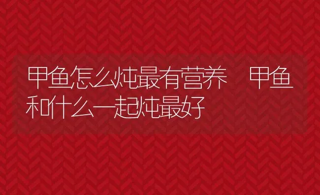 甲鱼怎么炖最有营养 甲鱼和什么一起炖最好 | 养殖资料投稿