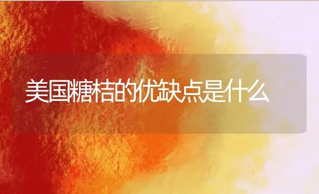 美国糖桔的优缺点是什么 | 养殖资讯