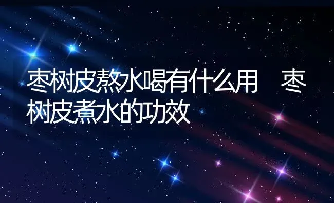 枣树皮熬水喝有什么用 枣树皮煮水的功效 | 养殖资料投稿