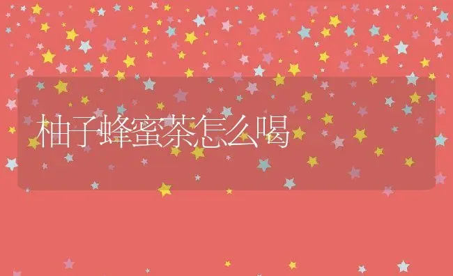 柚子蜂蜜茶怎么喝 | 养殖资料投稿