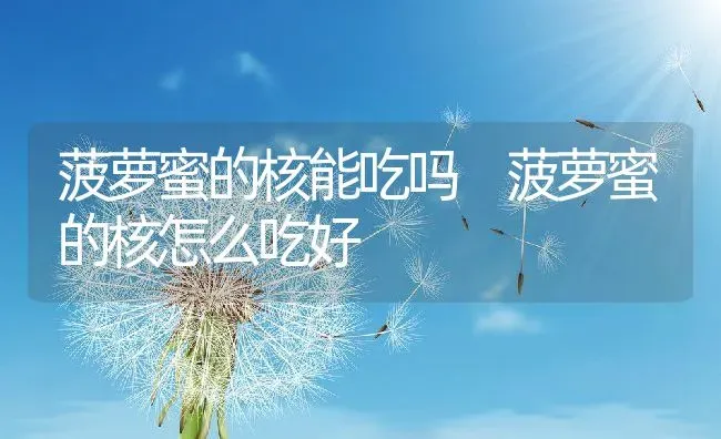 菠萝蜜的核能吃吗 菠萝蜜的核怎么吃好 | 养殖资料投稿
