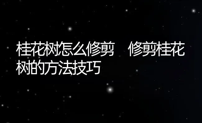 桂花树怎么修剪 修剪桂花树的方法技巧 | 养殖资料投稿