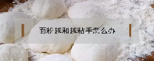 面粉越和越粘手怎么办