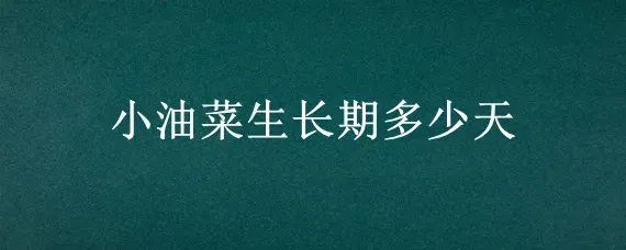 小油菜生长期多少天