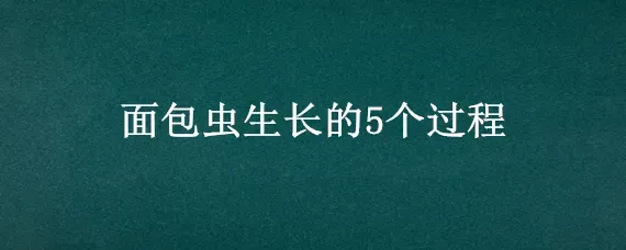 面包虫生长的5个过程