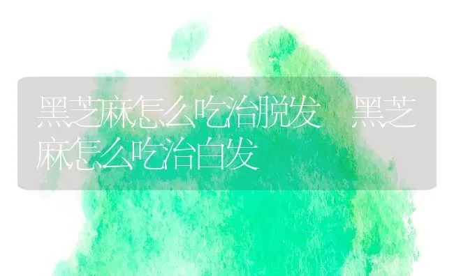 黑芝麻怎么吃治脱发 黑芝麻怎么吃治白发 | 养殖资料投稿