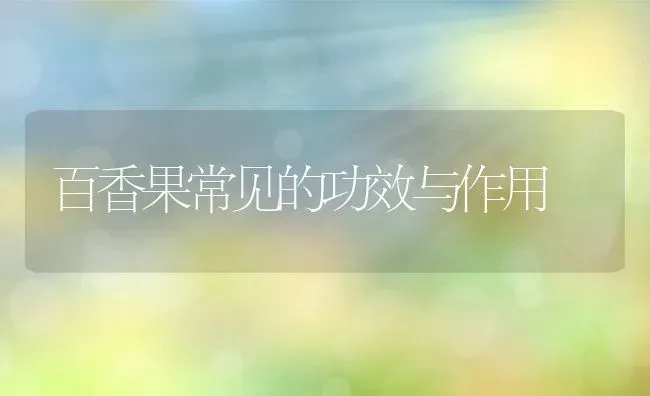 百香果常见的功效与作用 | 养殖资料投稿