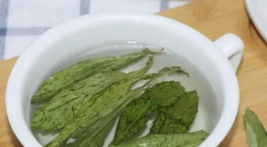 甜菊茶的功效与作用