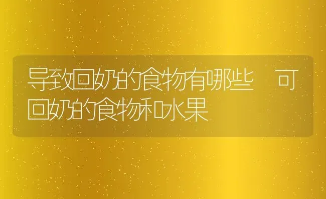 导致回奶的食物有哪些 可回奶的食物和水果 | 养殖资料投稿