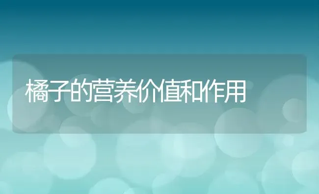 橘子的营养价值和作用 | 养殖资料投稿