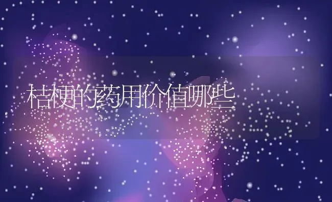 桔梗的药用价值哪些 | 养殖资料投稿