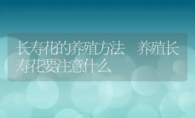 长寿花的养殖方法 养殖长寿花要注意什么 | 养殖资料投稿