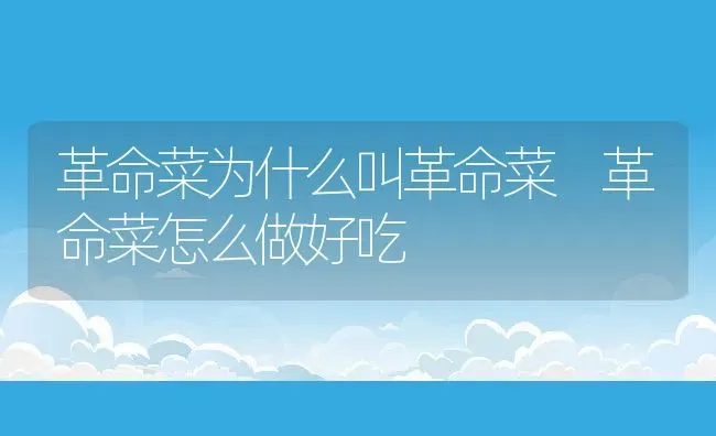 革命菜为什么叫革命菜 革命菜怎么做好吃 | 养殖资料投稿