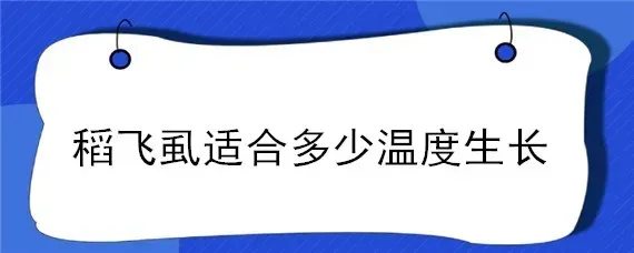 稻飞虱适合多少温度生长