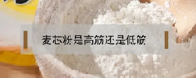 麦芯粉是高筋还是低筋