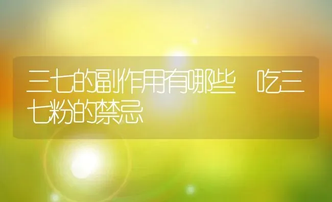 三七的副作用有哪些 吃三七粉的禁忌 | 养殖资料投稿