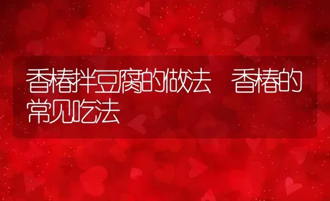 中药磨盘草的功效与作用 | 养殖资料投稿