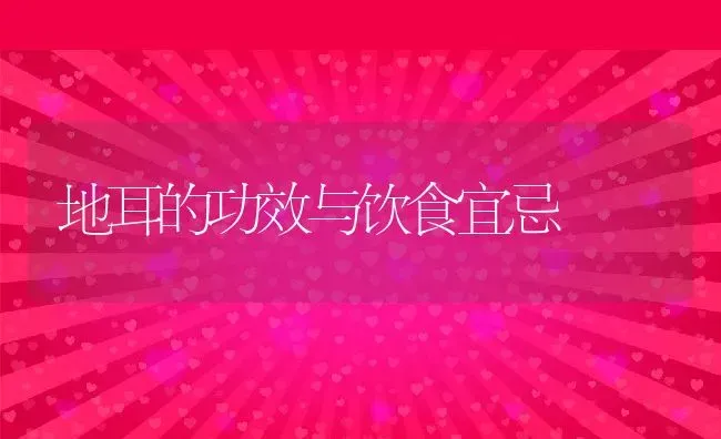 地耳的功效与饮食宜忌 | 养殖资料投稿