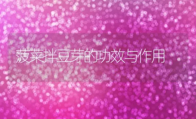 菠菜拌豆芽的功效与作用 | 养殖资料投稿