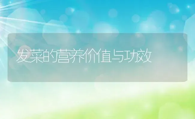 发菜的营养价值与功效 | 养殖资料投稿