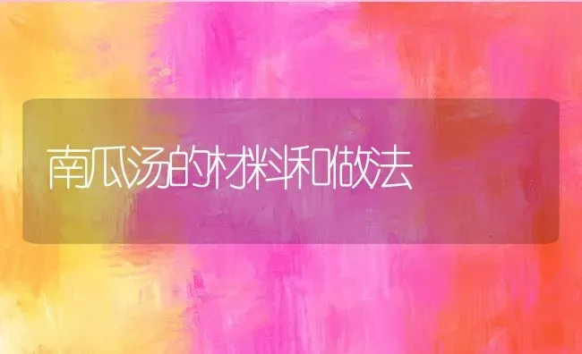 南瓜汤的材料和做法 | 养殖资料投稿