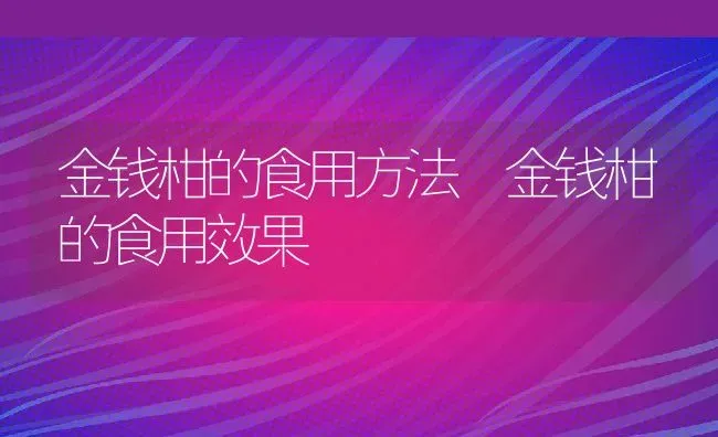 金钱柑的食用方法 金钱柑的食用效果 | 养殖资料投稿