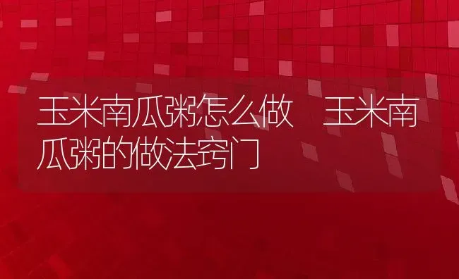 玉米南瓜粥怎么做 玉米南瓜粥的做法窍门 | 养殖资讯