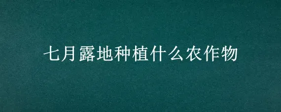七月露地种植什么农作物