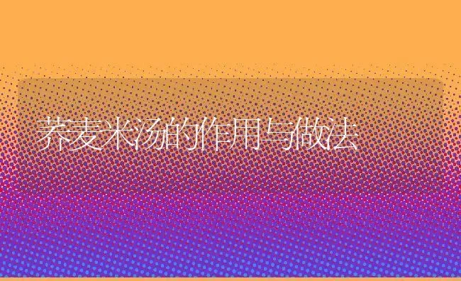 荞麦米汤的作用与做法 | 养殖资讯