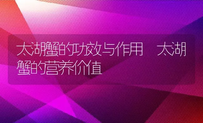 太湖蟹的功效与作用 太湖蟹的营养价值 | 养殖资料投稿